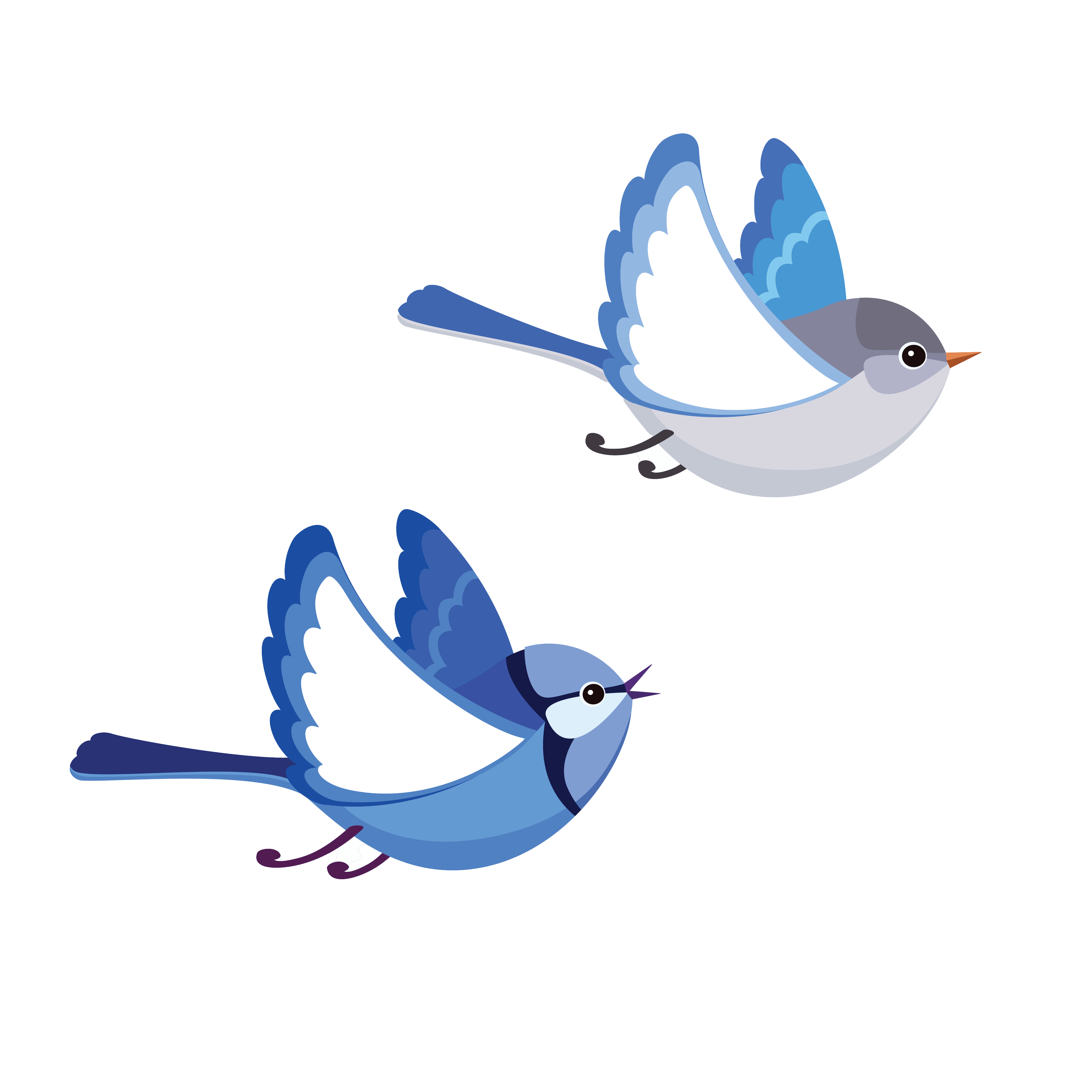 Graphic of two blue wrens